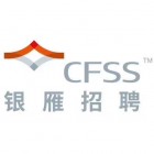 安康银雁科技服务有限公司